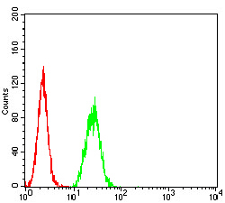 4 - Mouse Monoclonal Antibody to CPV-VP2 AO2447a