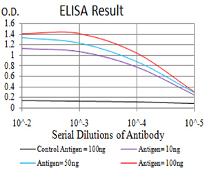 10 - Mouse Monoclonal Antibody to AFAP1L2 AO2450a