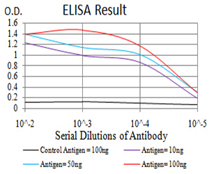10 - Mouse Monoclonal Antibody to NS1 AO2470a