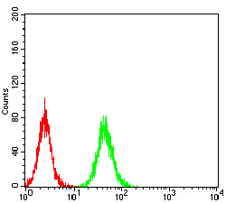 4 - Mouse Monoclonal Antibody to NS1 AO2470a
