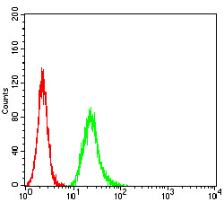 4 - Mouse Monoclonal Antibody to NS1 AO2470a