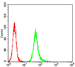 4 - Mouse Monoclonal Antibody to NS1 AO2471a