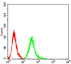 4 - Mouse Monoclonal Antibody to ROP1 AO2472a