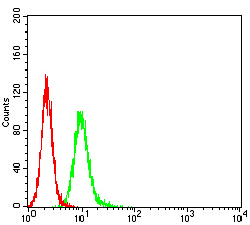 4 - Mouse Monoclonal Antibody to APBA2 AO2485a