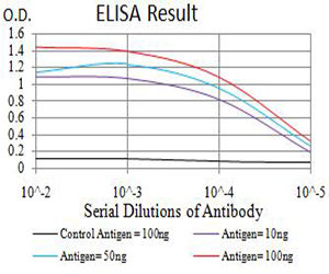 10 - Mouse Monoclonal Antibody to APBA2 AO2486a