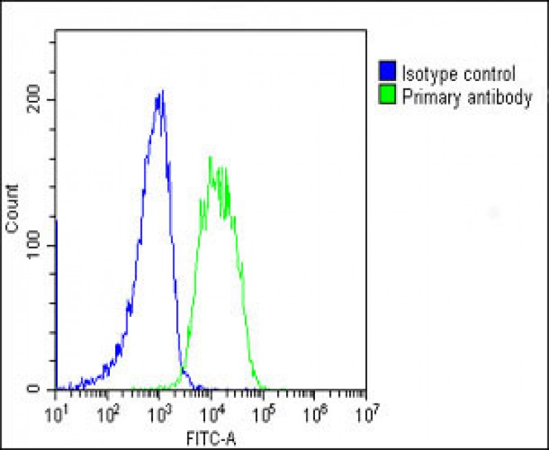 4 - AMH Antibody (Center) AP9940C