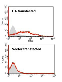 4 - Anti-HA (H5N1) Monoclonal Antibody ABV11971