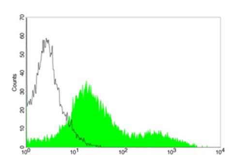 4 - Anti-HA Tag (FITC) Antibody ABV12012