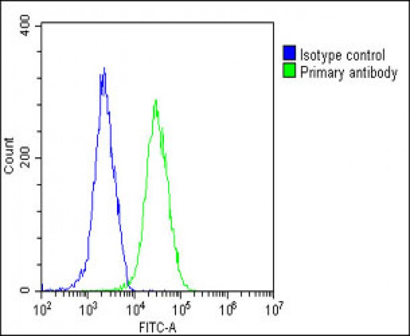 4 - INTS3 Antibody (Center) AP22238c