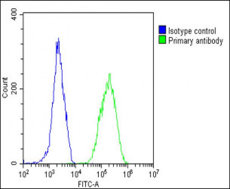 4 - CALR Antibody (Center) AP6898C