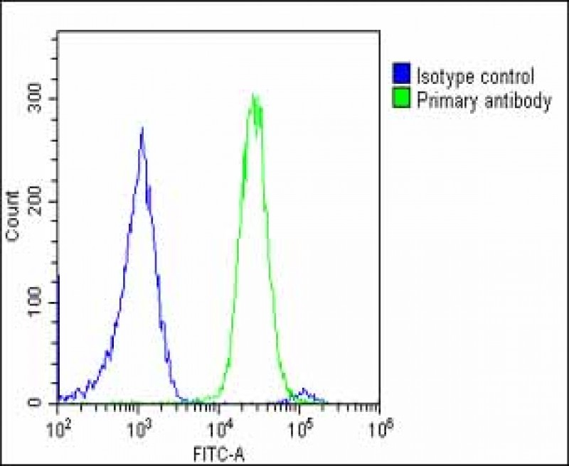 4 - LMTK3 Antibody (N-term) AP11540a