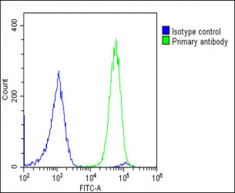 4 - GCA Antibody (N-Term) AP22336a