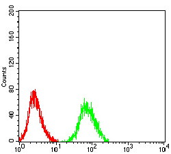 51 - CHRNA6 AO2555a