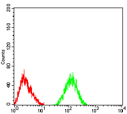 51 - CHRNA6 AO2555a