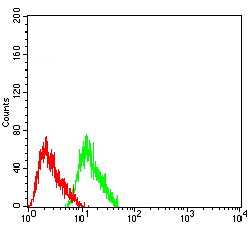 51 - CHRNA7 AO2586a