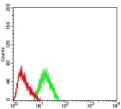 51 - CHRNA7 AO2587a