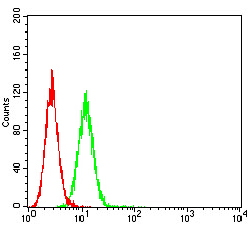 51 - CHRNA10 AO2620a