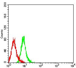 51 - KIR3DL1 AO2701a