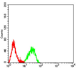 51 - CD161 AO2744a
