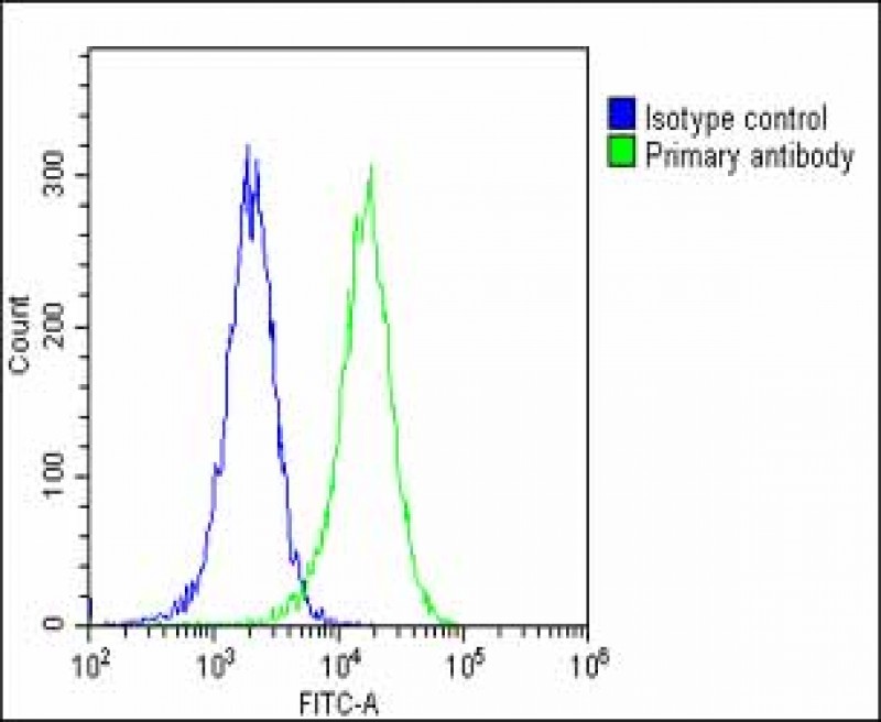 4 - LZIC Antibody (Center) AP17735c