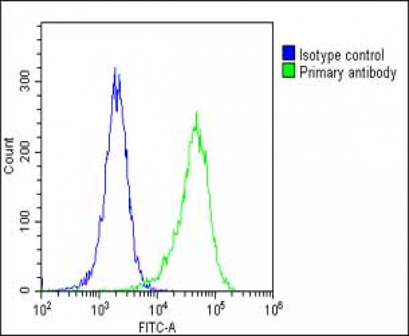 4 - MAGEA2 Antibody (N-term) AP6164a