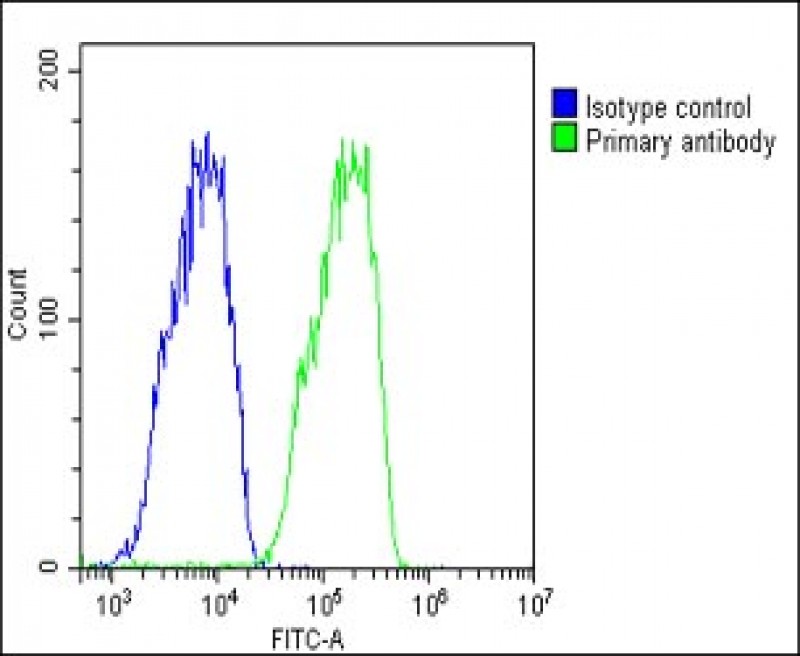 4 - TTR Antibody (C-term) AP6698b