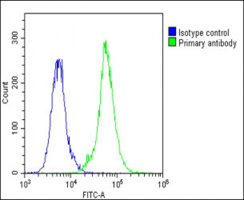4 - LOXL4 Antibody (C-term) AP17245b