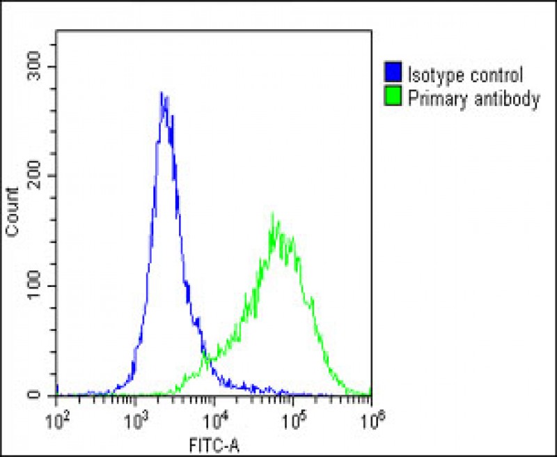 4 - PRRT2 Antibody (Center) AP17642c