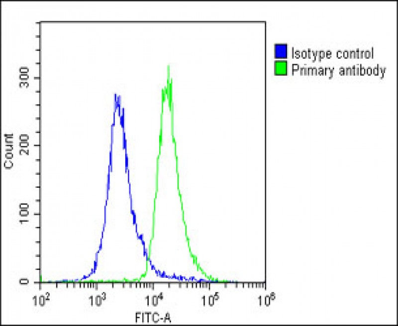 4 - ALKBH5 Antibody (Center) AP18410c