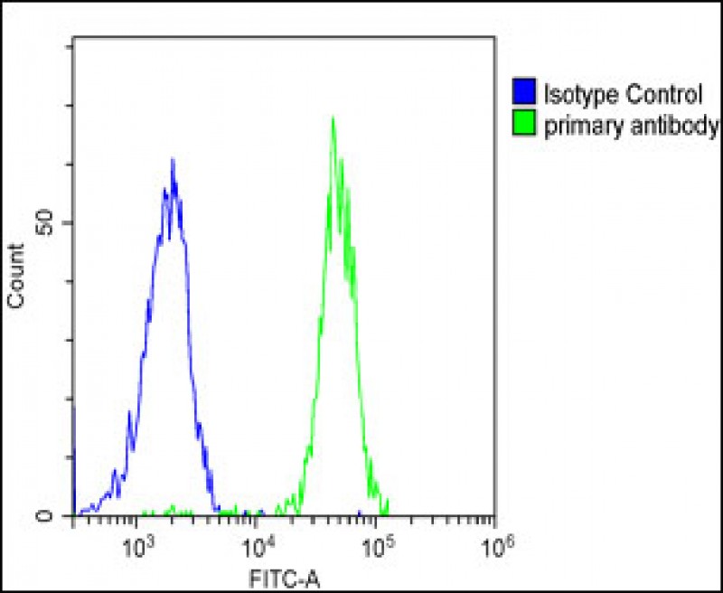4 - SPNS2 Antibody (N-term) AP17856a