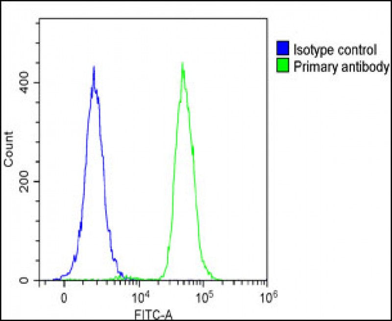 4 - FAM125A Antibody (N-Term) AP22249a