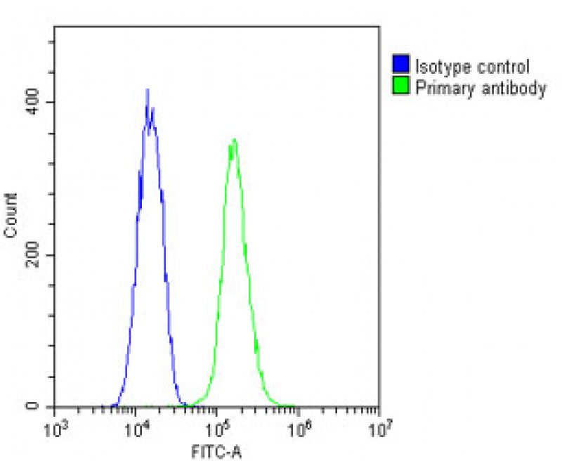4 - gamma Tubulin Antibody AP22339a