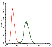 4 - CKIIalpha (5F9) Mouse mAb AP53513