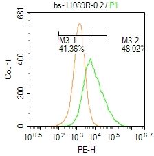 4 - LRFN4 Rabbit pAb AP54367