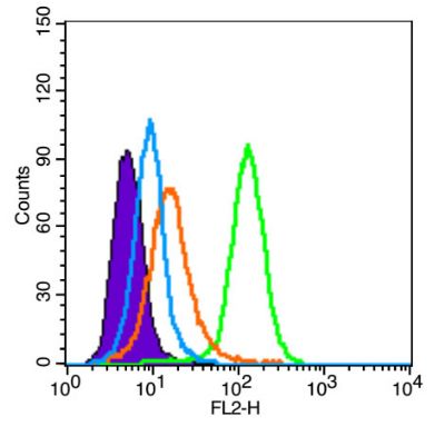 4 - SNRNP200 Rabbit pAb AP54924