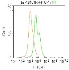4 - FMNL3 Rabbit pAb AP56152