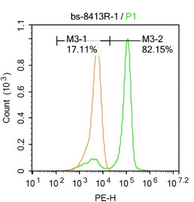 4 - Galectin 12 Rabbit pAb AP58996