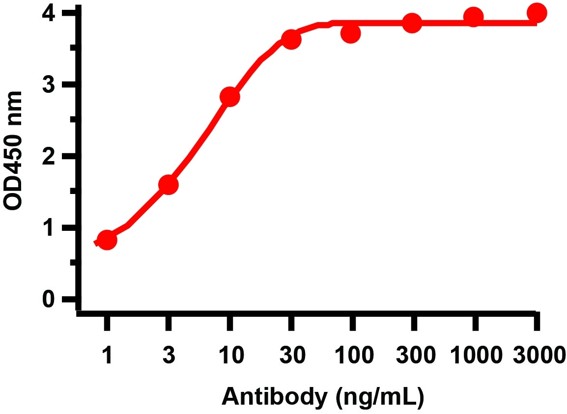 10 - SARS-CoV-2 (COVID-19) NSP15 Antibody ASC12215