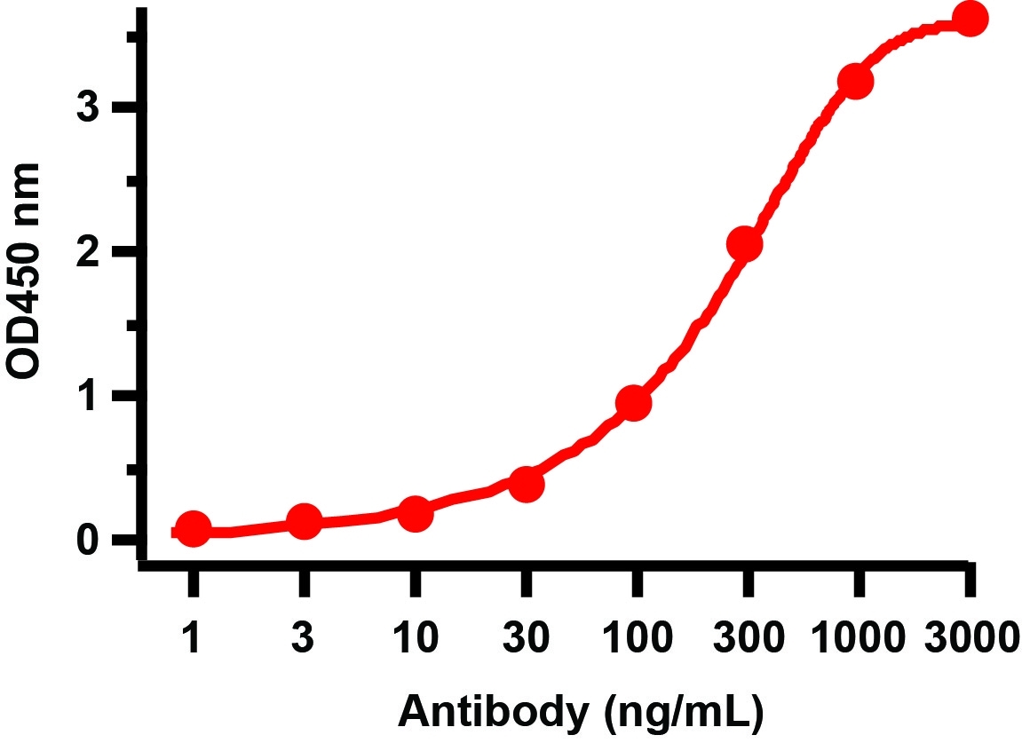 10 - SARS-CoV-2 (COVID-19) NSP16 Antibody ASC12216