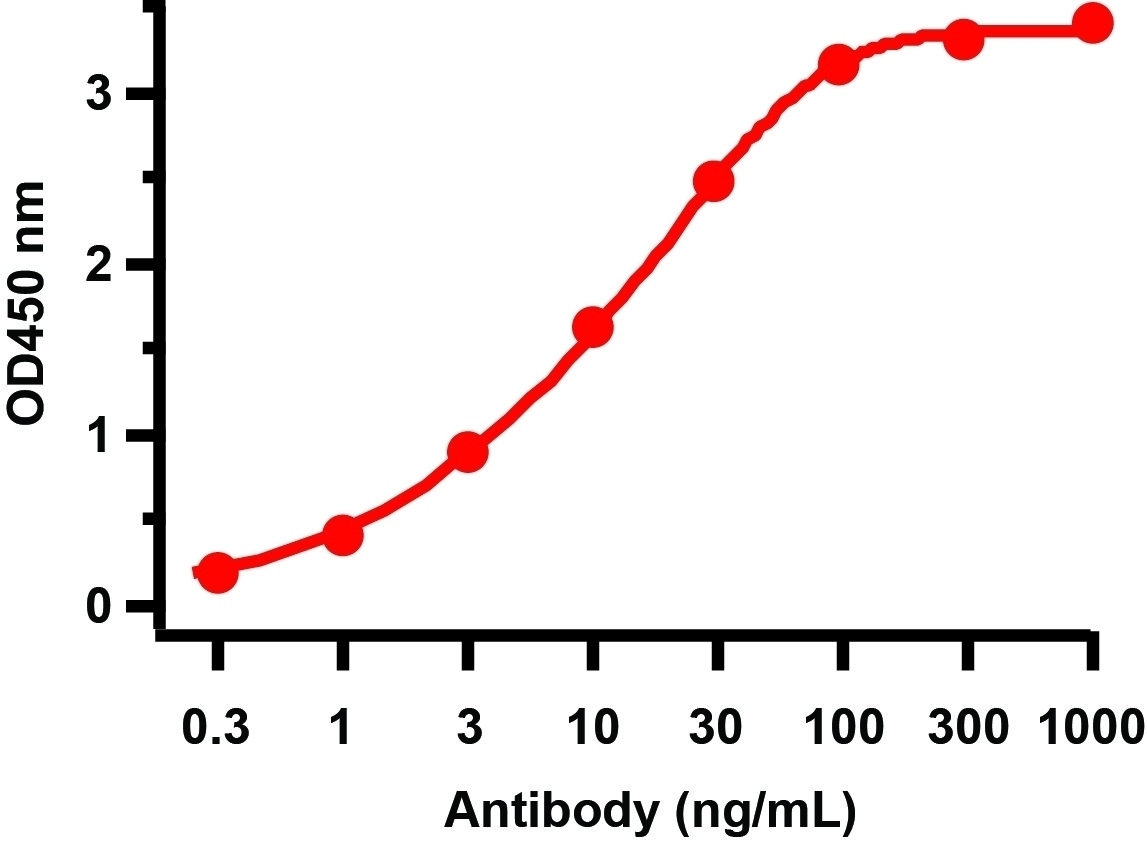 10 - SARS-CoV-2 (COVID-19) ORF10 Antibody ASC12226