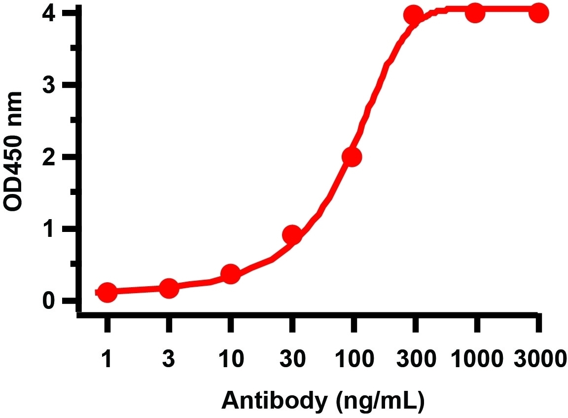 10 - SARS-CoV-2 (COVID-19) ORF3b Antibody ASC12219