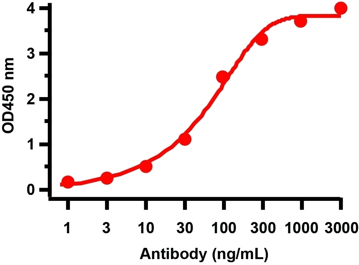 10 - SARS-CoV-2 (COVID-19) ORF8 Antibody ASC12223