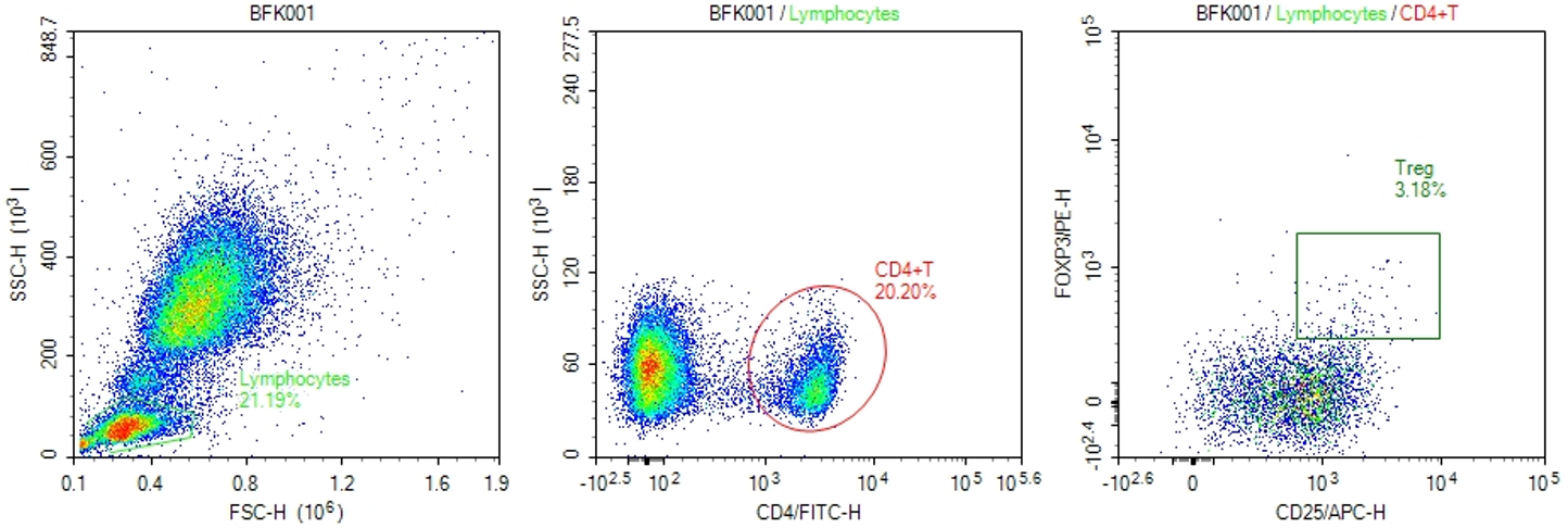 1 - Human Treg Flow Kit (FOXP3 PE/CD4 FITC/CD25 APC) AP94010