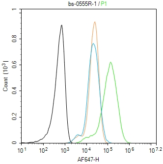 1 - IL-1 Alpha Propeptide Rabbit pAb AP93939