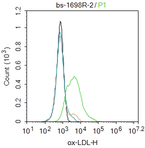 1 - ox-LDL Rabbit pAb AP93950