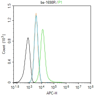 1 - ox-LDL Rabbit pAb AP93950