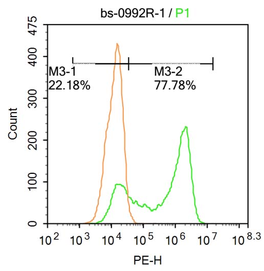 1 - HPV16 E7 Rabbit pAb AP93959