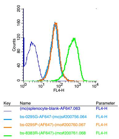 1 - UBE2Q1 Rabbit pAb AP94048