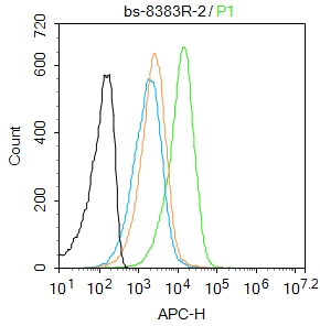 1 - UBE2Q1 Rabbit pAb AP94048
