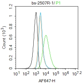 1 - CD44 Rabbit pAb AP94086